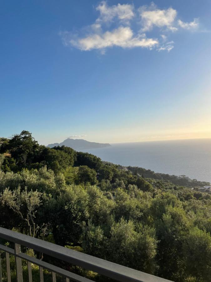 Loren House, Relaxing Location With Seaview Massa Lubrense Eksteriør bilde