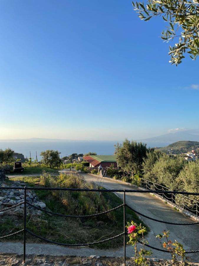 Loren House, Relaxing Location With Seaview Massa Lubrense Eksteriør bilde
